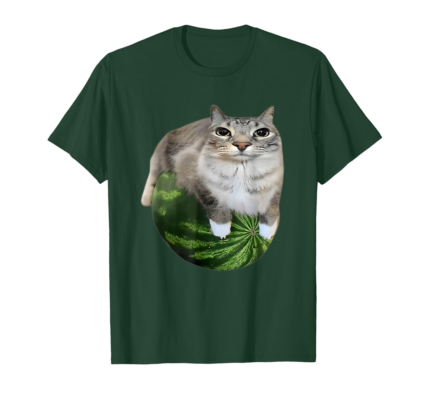Funny Watermelon Cat Silly Meme T-Shirt