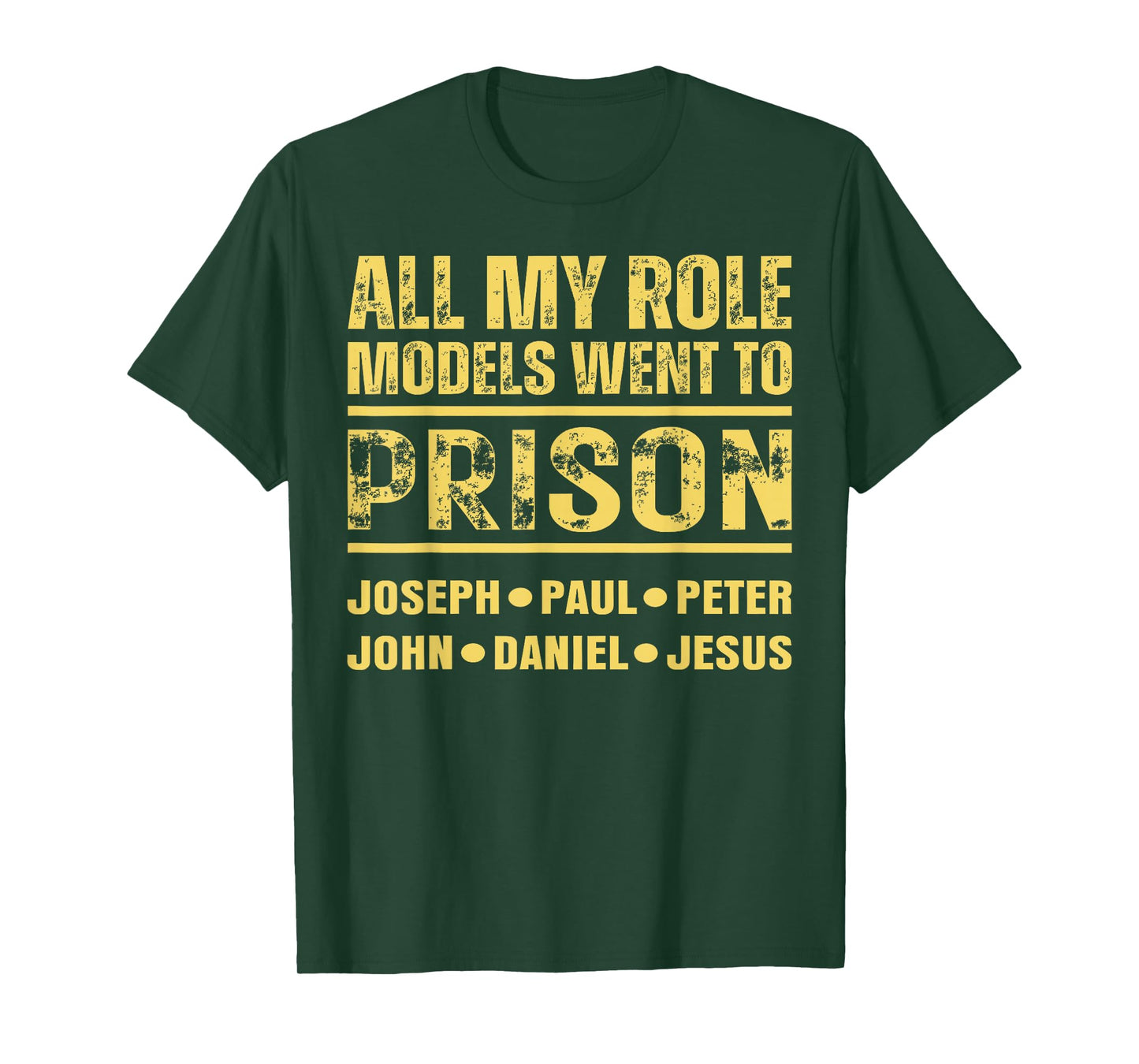 All My Role Models Went to Prison T-Shirt