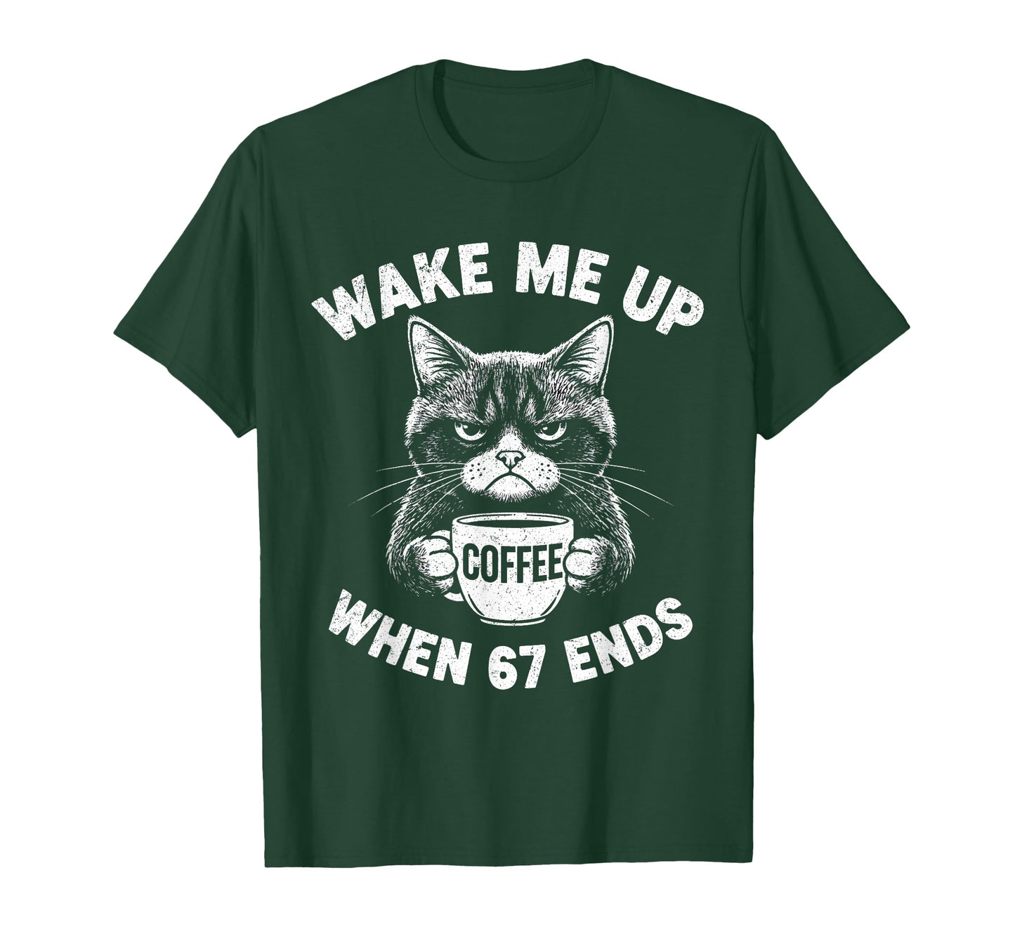 Wake Me 67 Ends Anti Six Seven Cat Brainrot Teacher T-Shirt