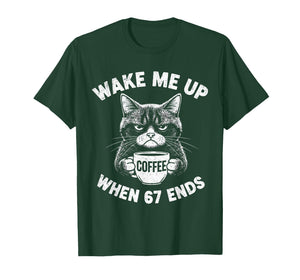 Wake Me 67 Ends Anti Six Seven Cat Brainrot Teacher T-Shirt