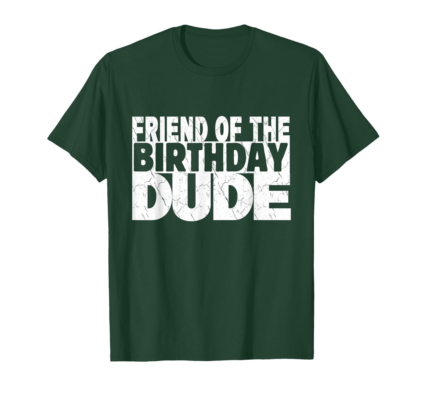 Friend of The Birthday Dude Friend of The Birthday Boy T-Shirt