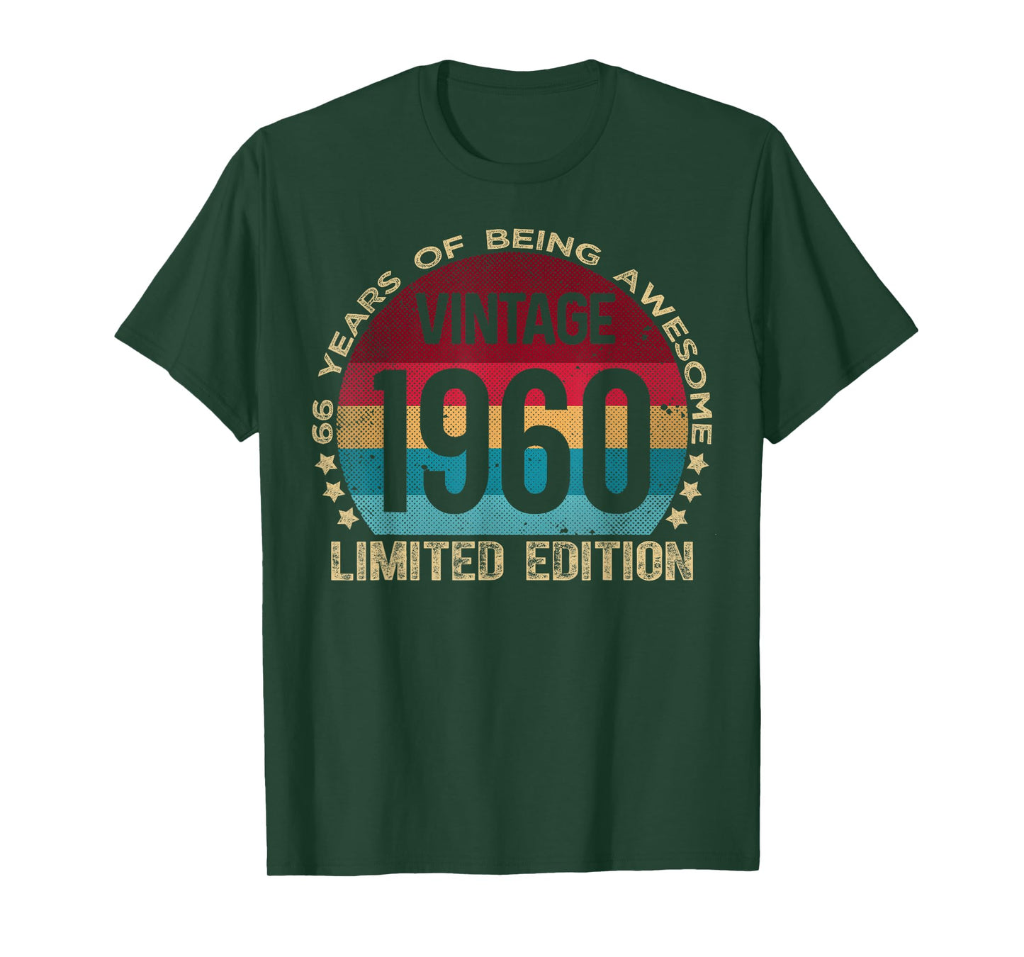 66 Year Old Gifts Vintage 1960 Limited Edition 66th Birthday T-Shirt