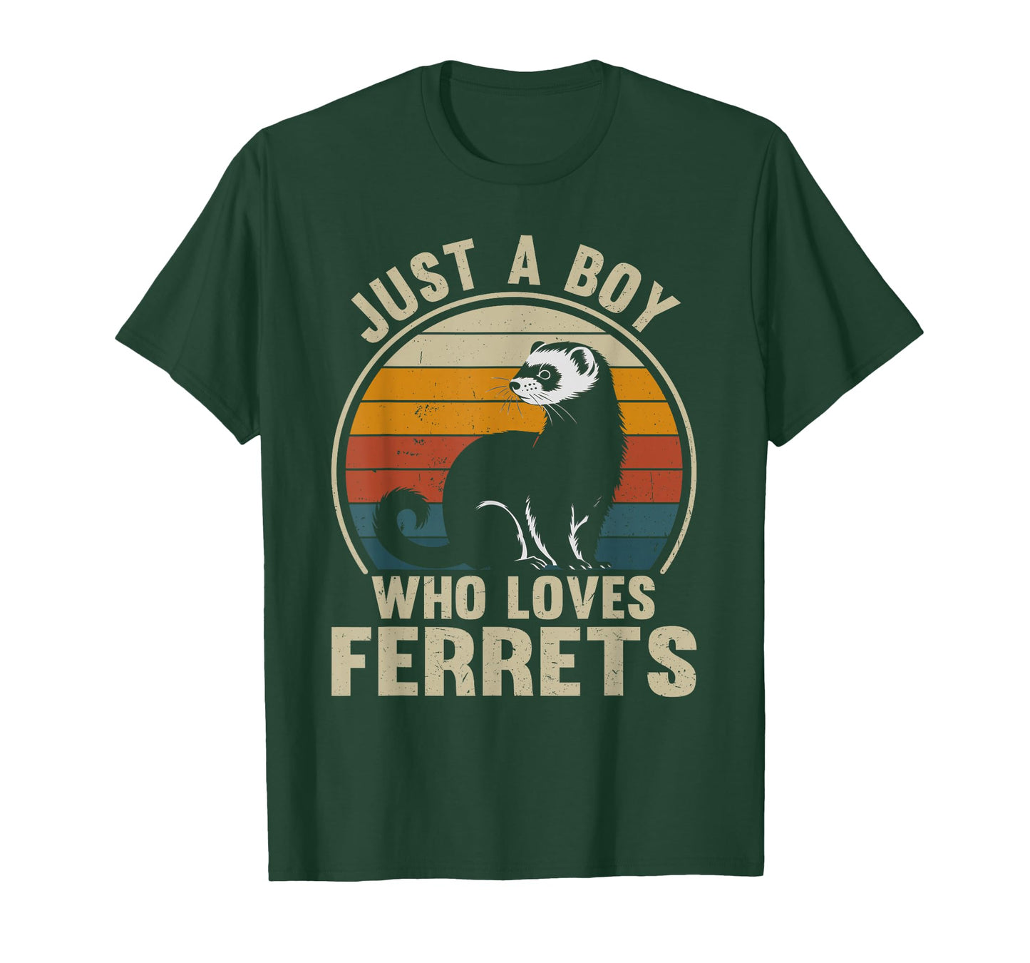 Just A Boy Who Loves Ferrets Recto Ferret Lover T-Shirt