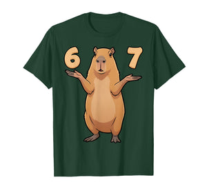 67 Capybara Meme Funny Gen Alpha Youth Kids Teens Trend 6 7 T-Shirt