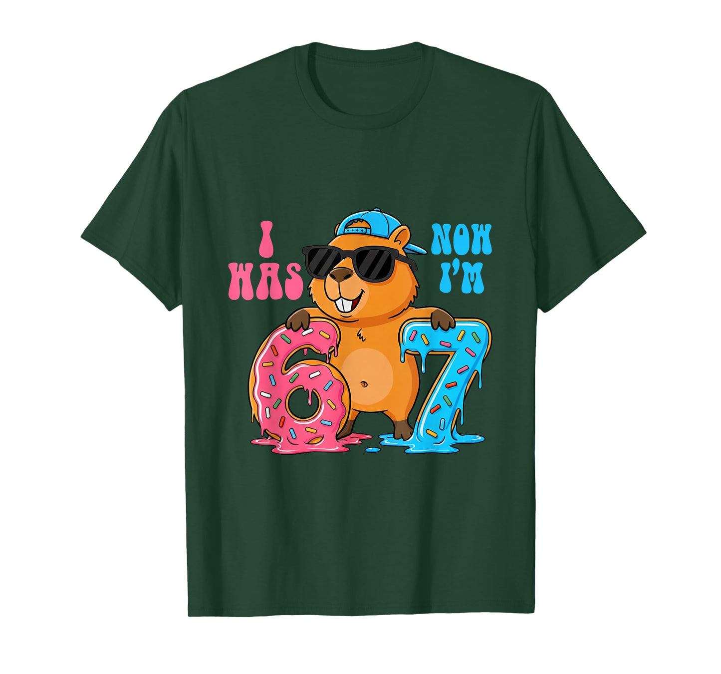 I was Six Now I'm Seven 6 7 Capybara 67 Meme 7th Birthday T-Shirt