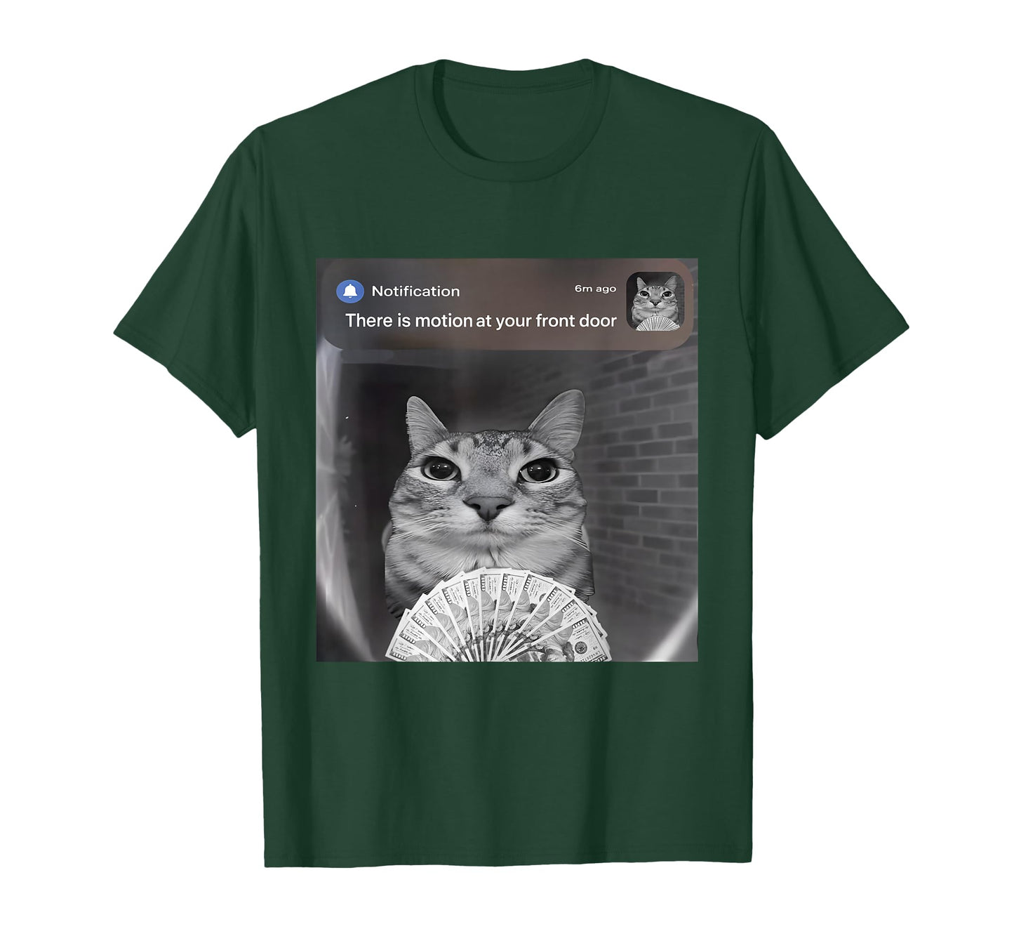 There is Motion at Your Front Door Funny Cat Motion Meme T-Shirt