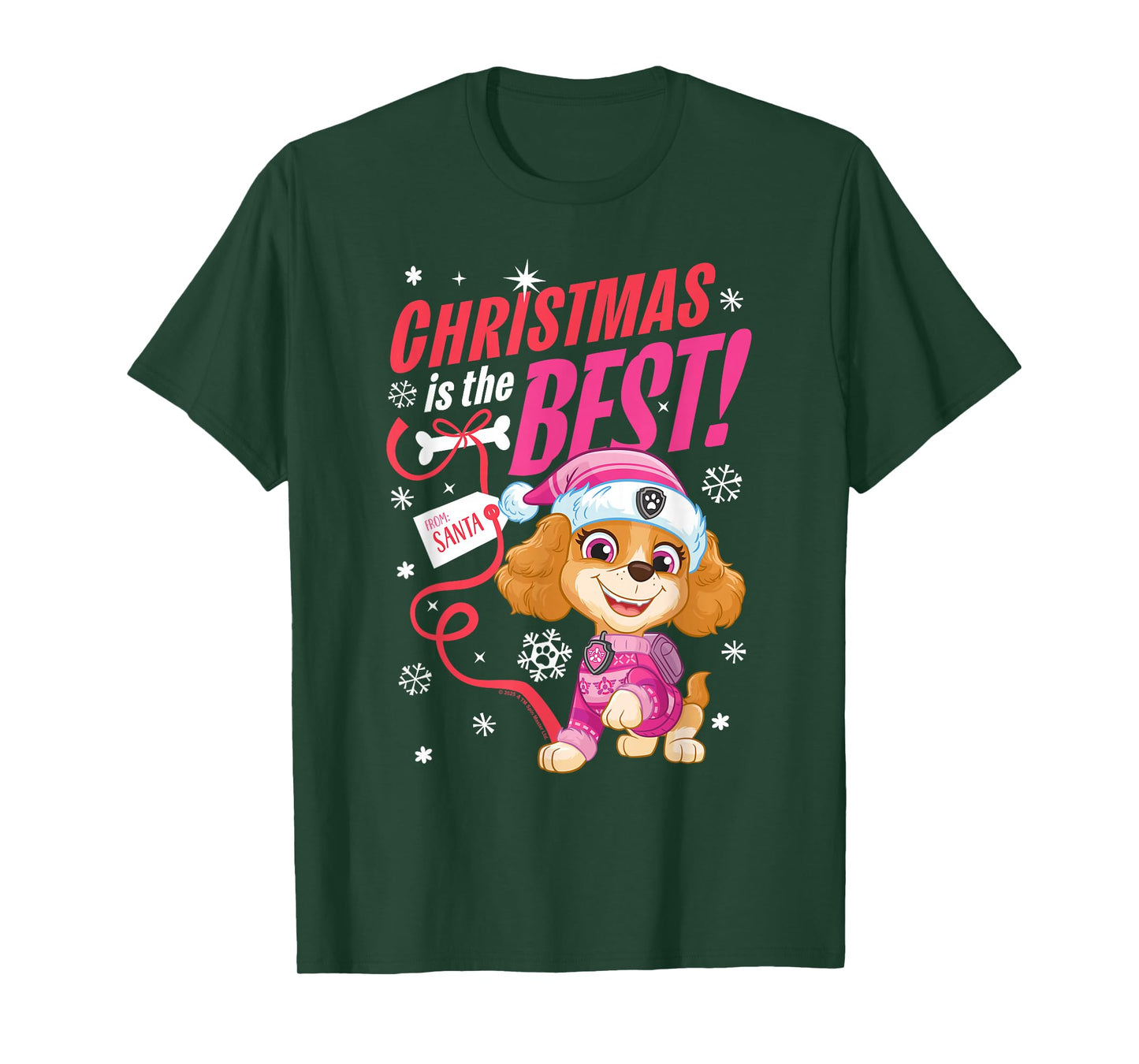PAW Patrol Skye Christmas is The Best T-Shirt
