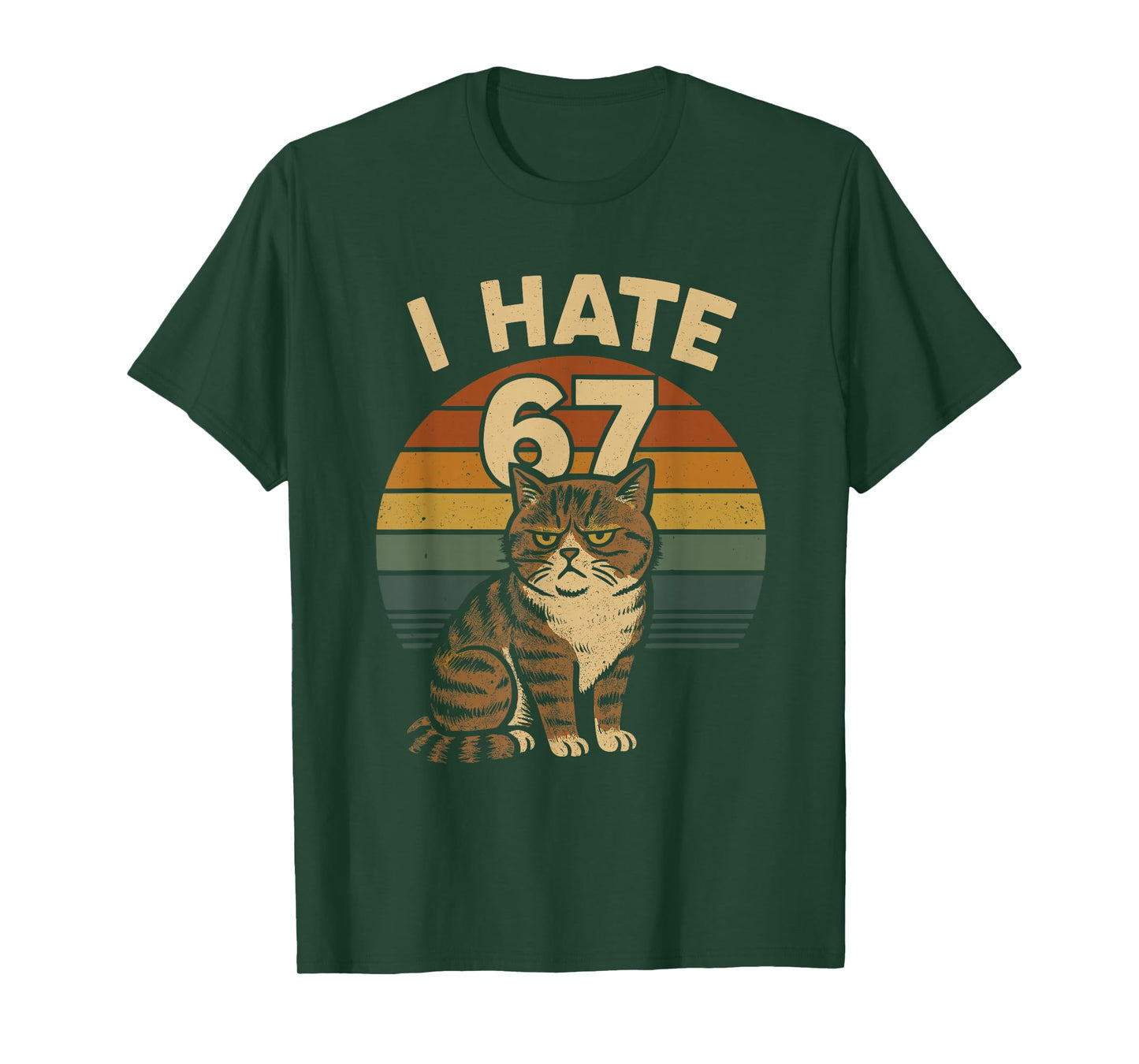 I Hate 67 Meme Cat Funny Internet Trend Humor Brainrot Youth T-Shirt