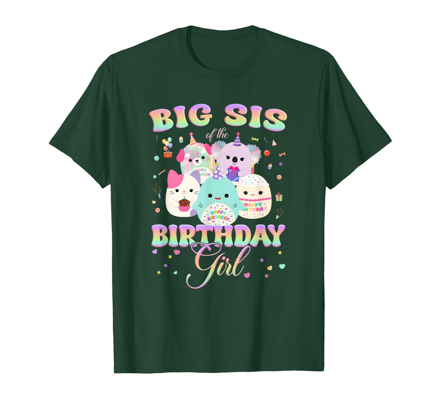 Birthday Family Squish Squad Big Sis of The Birthday Girl T-Shirt