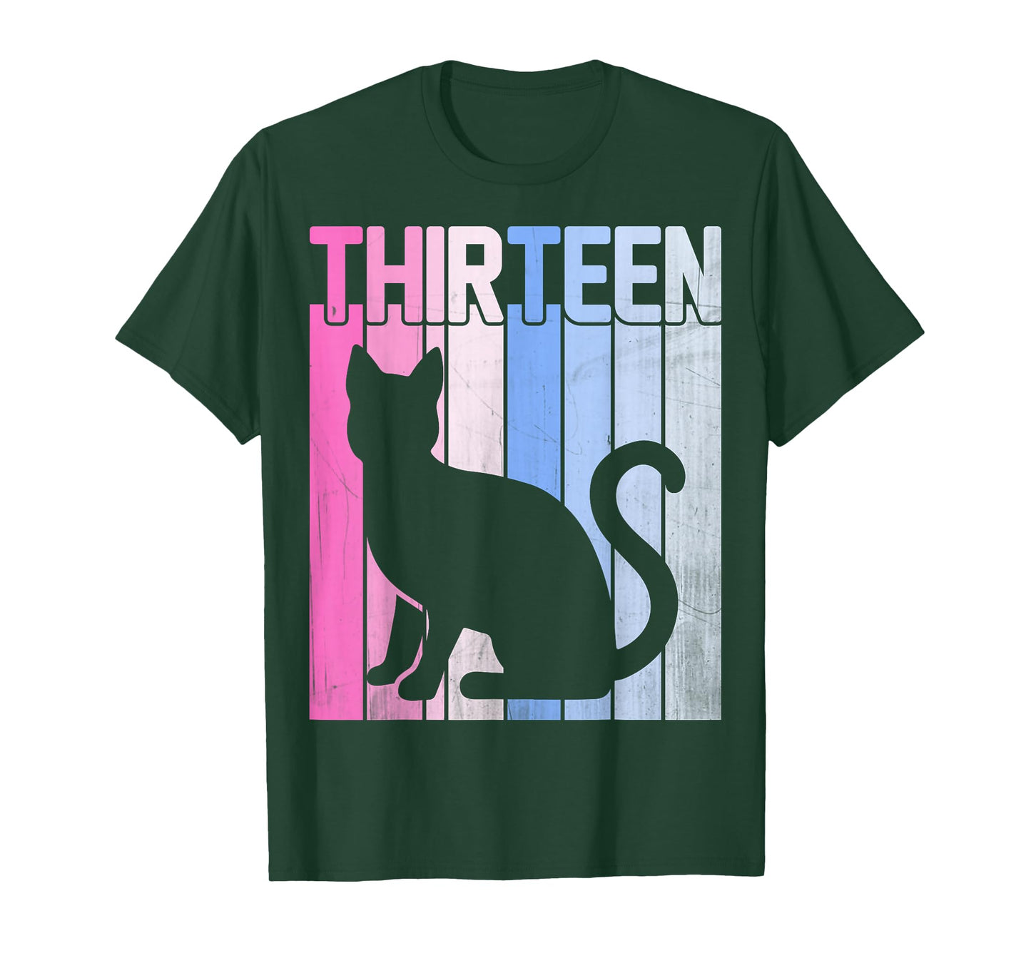 Cute Pet Cat Lover 13 Years Old Thirteen Birthday T-Shirt