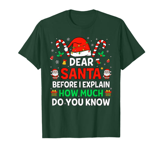 Dear Santa I Can Explain Funny Christmas Matching Men Women T-Shirt