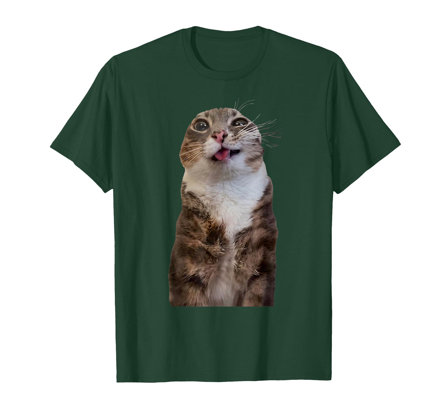Funny Rigby Cat Silly Viral Meme T-Shirt