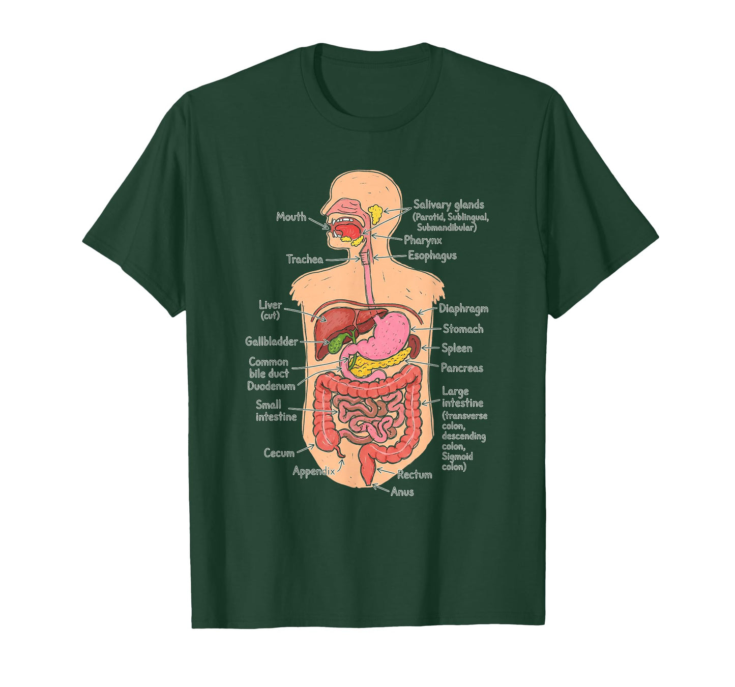 Human Digestive System Anatomy Chart Biology Diagram T-Shirt