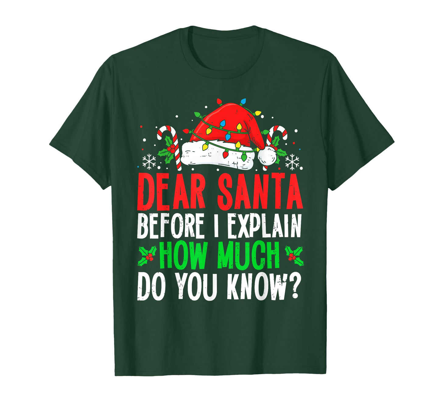 Funny Christmas Kids Adults Dear Santa I Can Explain T-Shirt