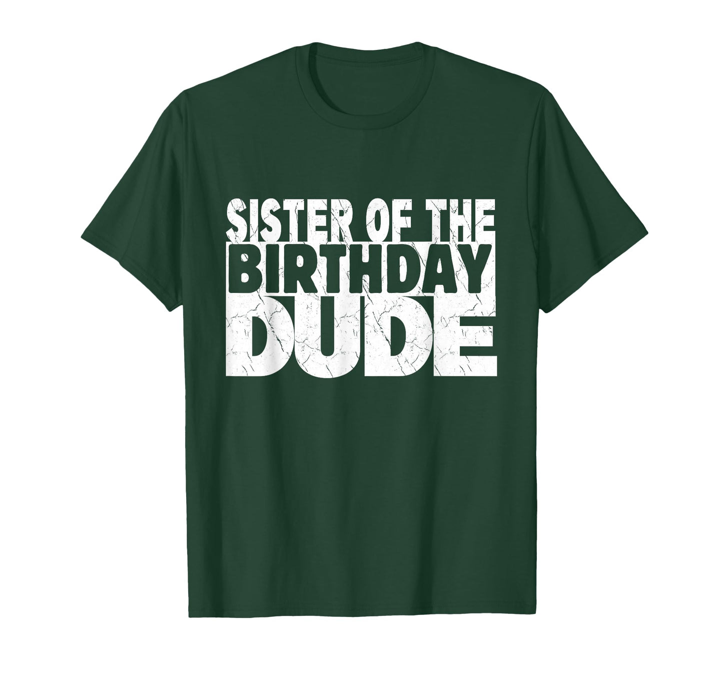 Sister of The Birthday Dude Sister of The Birthday Boy T-Shirt