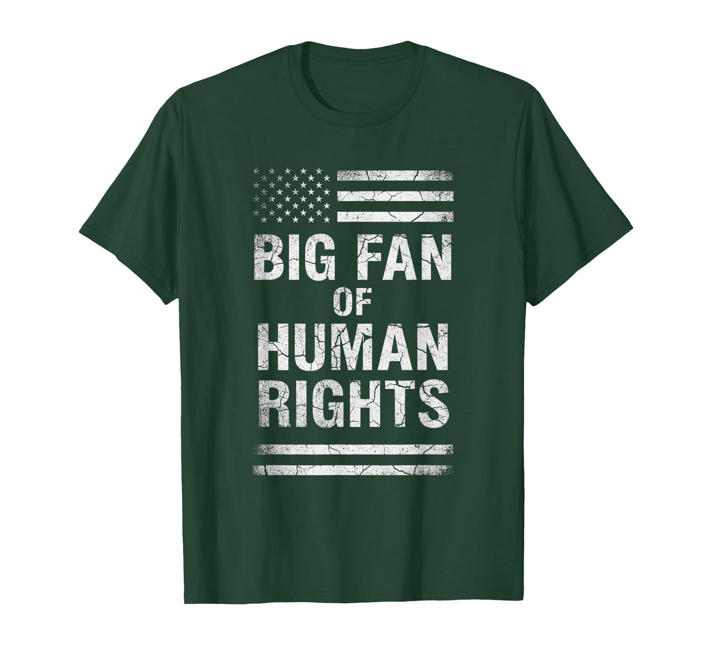 Big Fan of Human Rights Distressed American Flag Activist T-Shirt