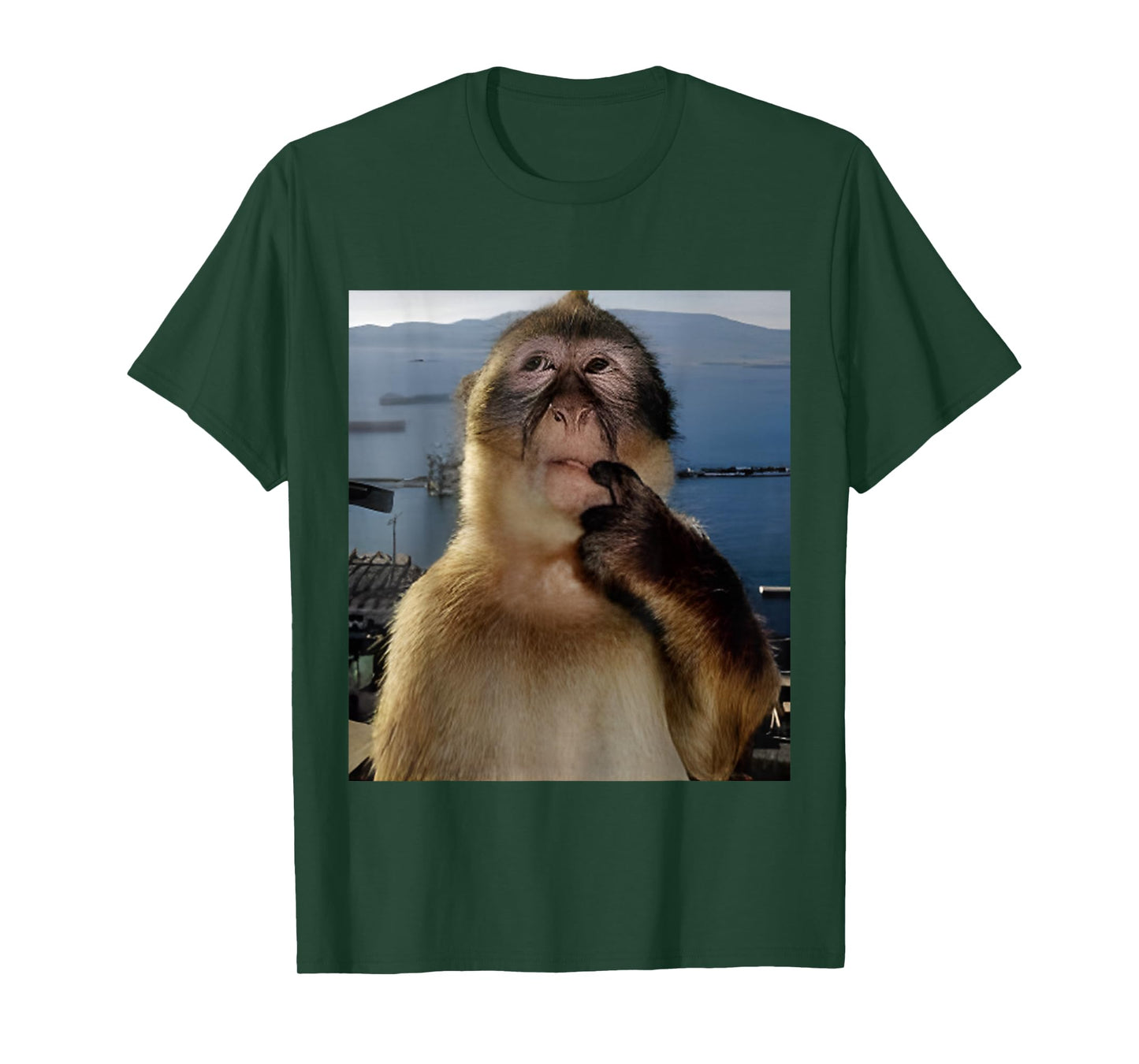 Funny Thinking Monkey Meme T-Shirt Curious Ape Brainrot Gift T-Shirt
