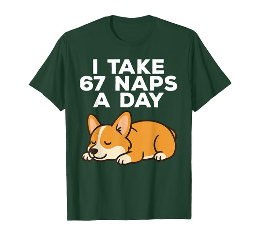 I Take 67 Naps A Day Funny Dog Corgi Six Seven Meme T-Shirt