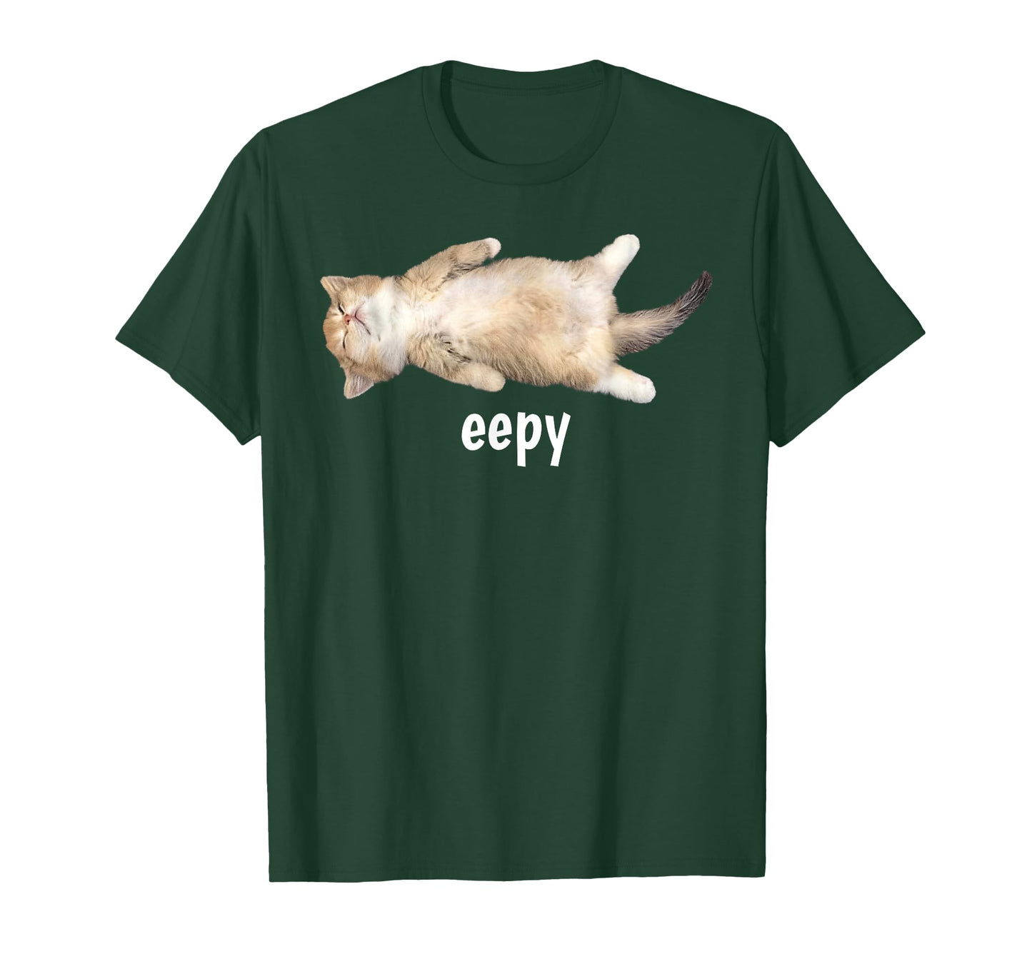 Eepy Cat Meme Funny Sleepy Cat Viral Gen Z Sarcastic Humor T-Shirt