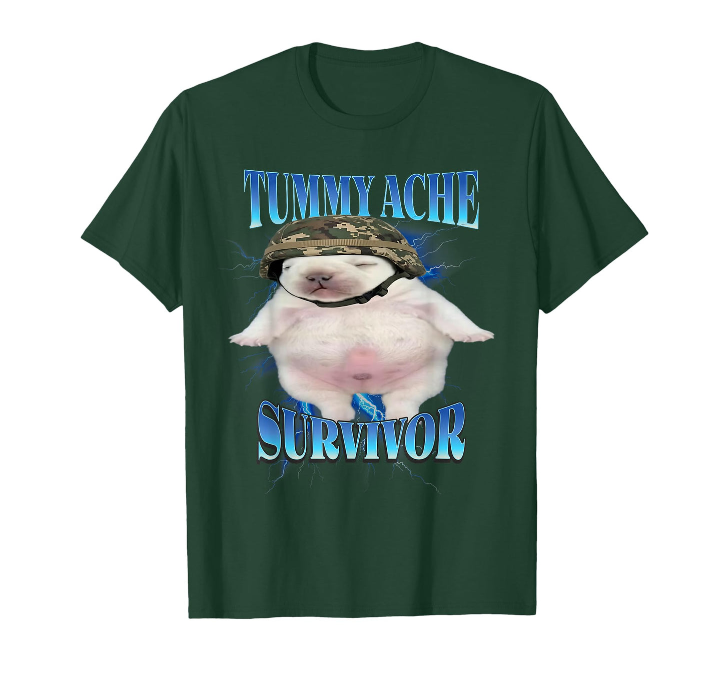 Tummy Ache Survivor Funny Pibble Graphic Meme Brainrot T-Shirt