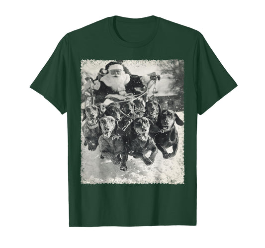 Funny Wiener Dog Dachshund Christmas Santa Sleigh T-Shirt