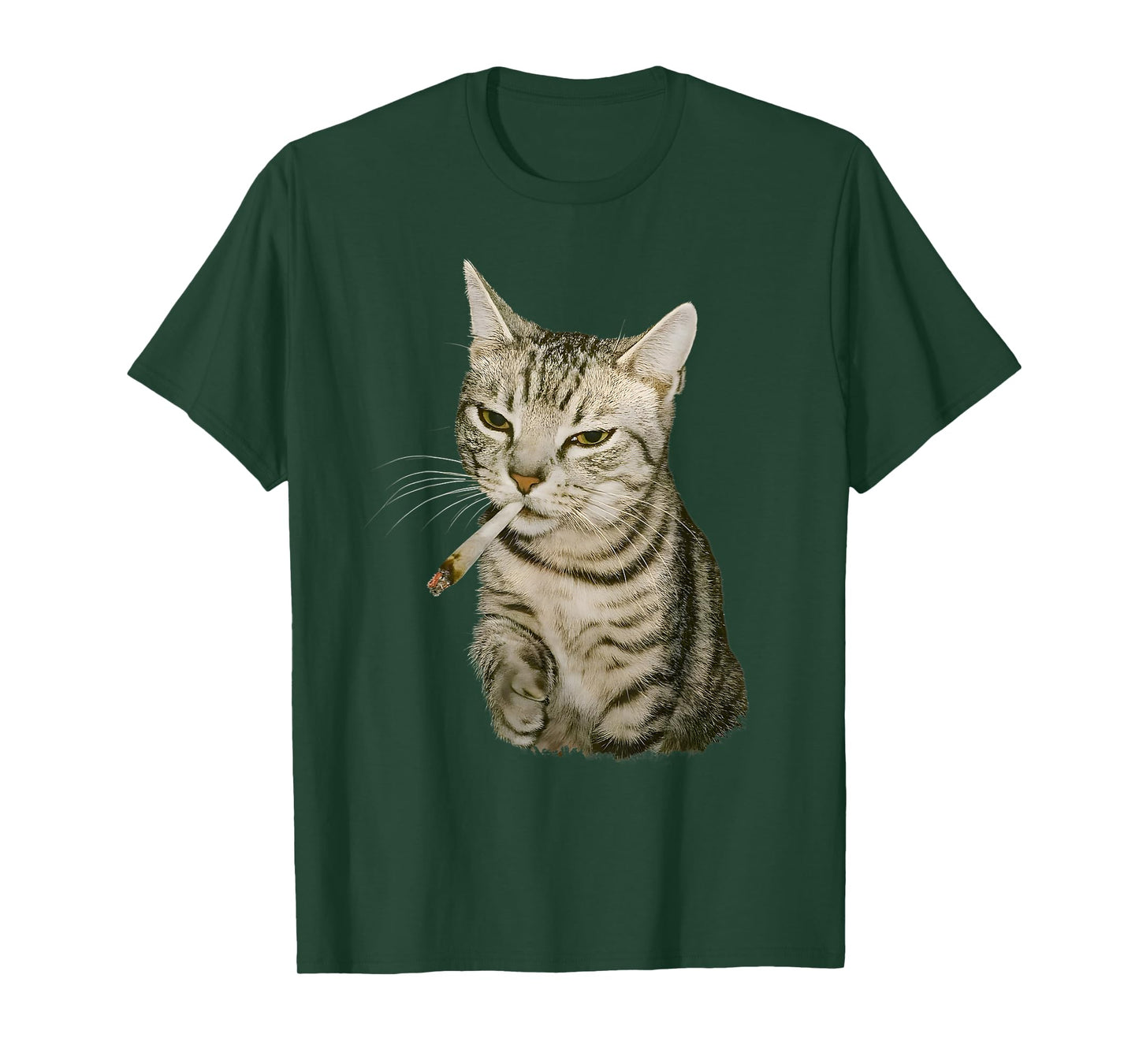 Funny Smoking Cat, Cigarette Kitty Gen Z Meme, Cat Lover T-Shirt