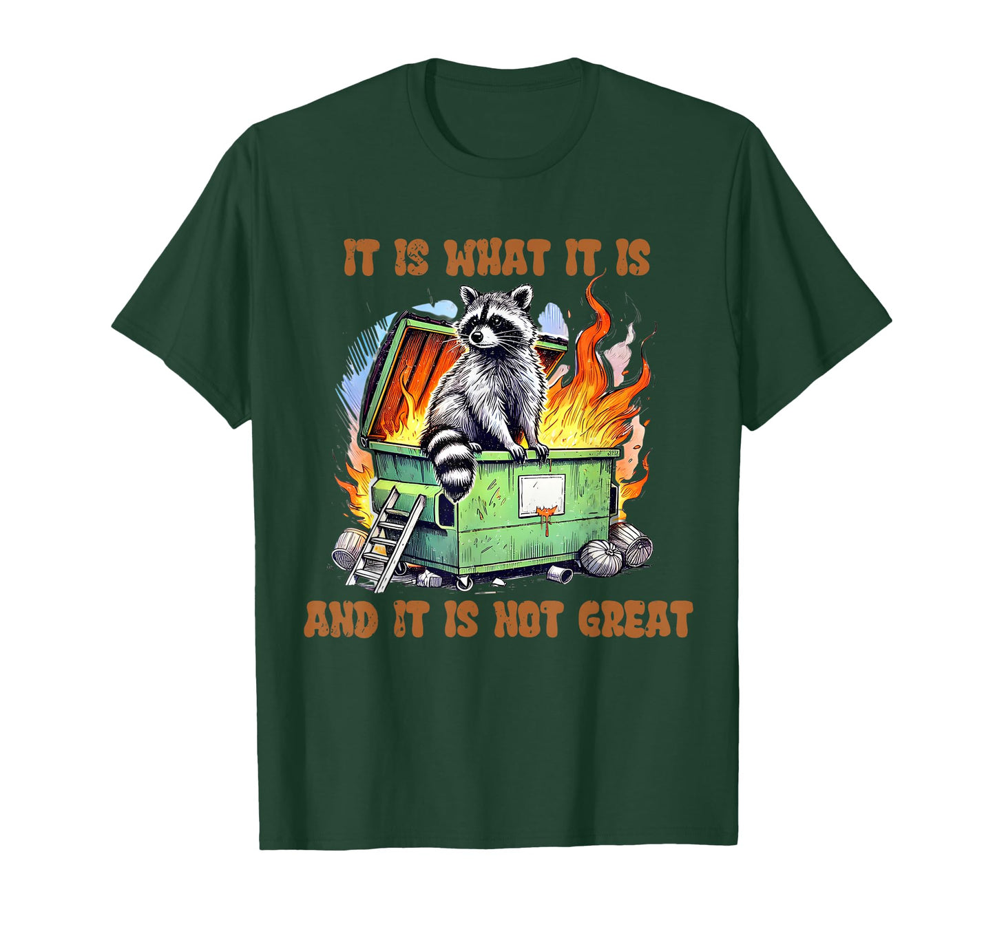 It is What Not Great Raccoon Mental Health Lil Dumpster Meme T-Shirt