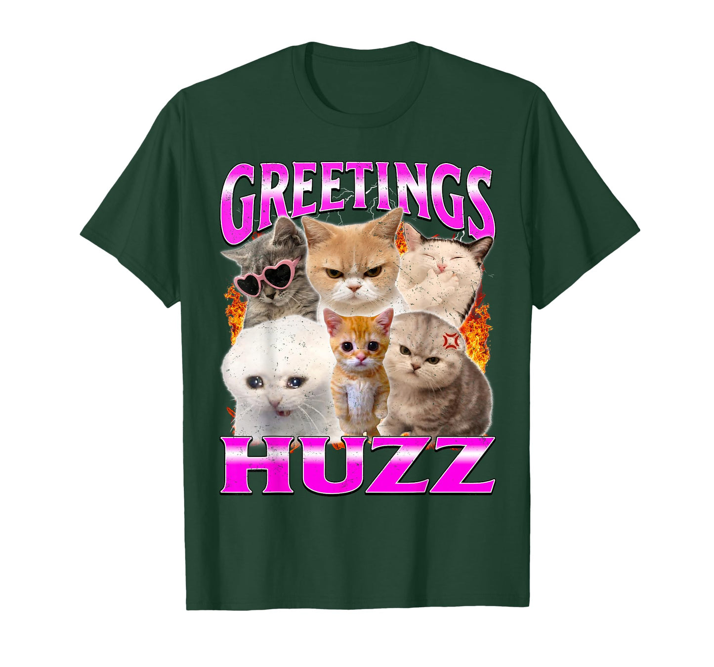 Greetings Huzz Funny Silly Cats Meme T-Shirt