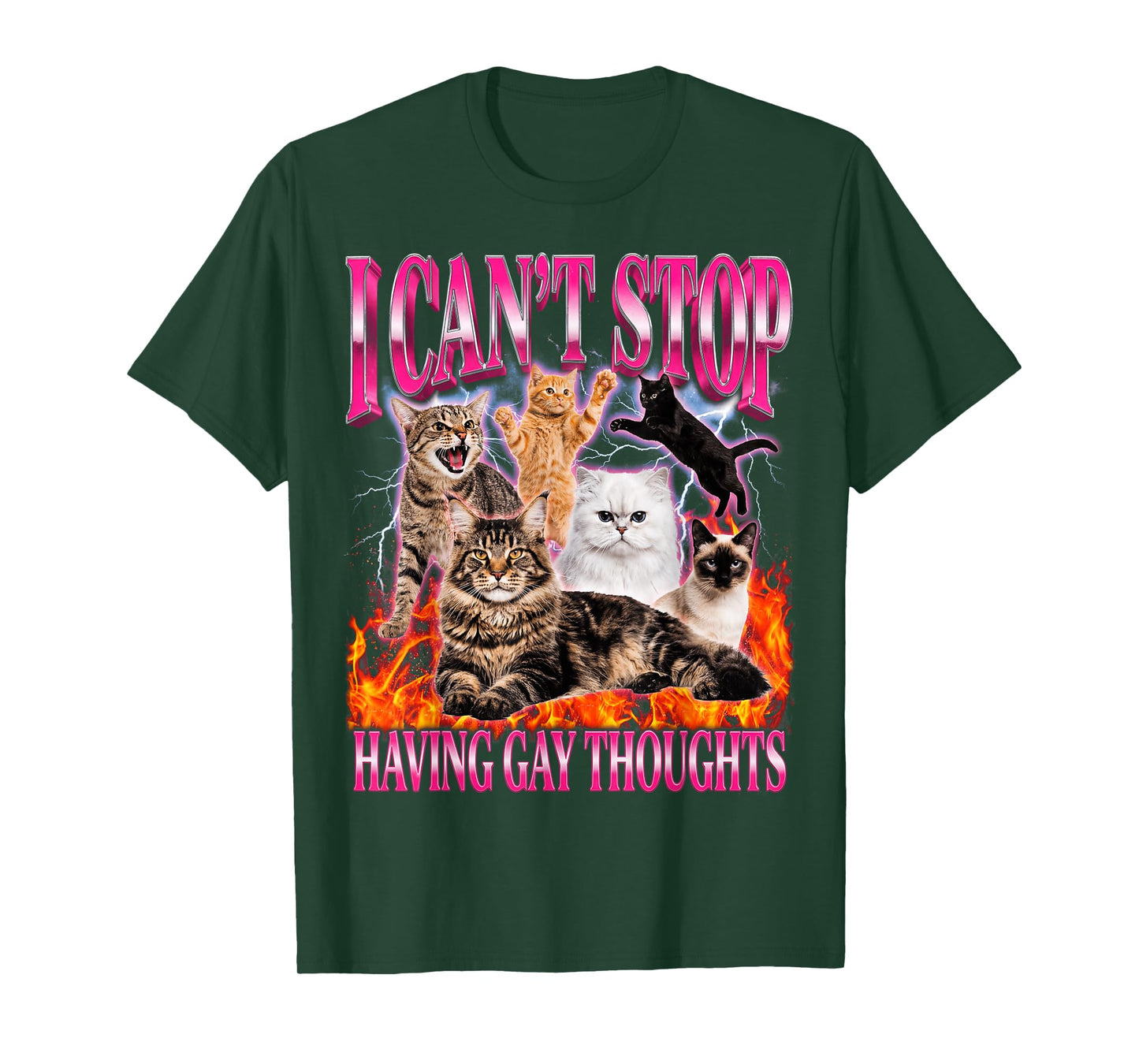 Funny Cat I Can't Stop Having Gay Thoughts LGBTQ Pride T-Shirt