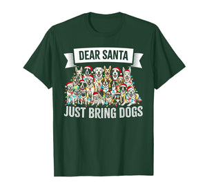 Dear Santa Just Bring Dogs Christmas Lights Dog Love Pajama T-Shirt