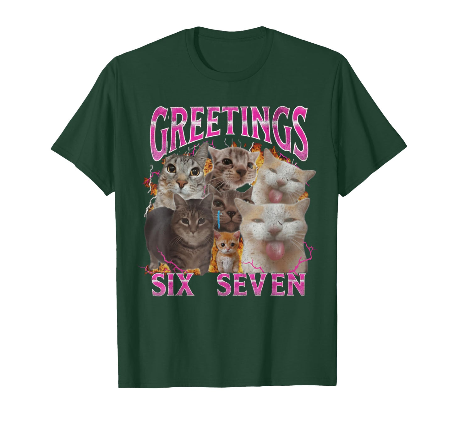 Greetings 67 Funny Cat Meme Funny Six Seven Meme T-Shirt