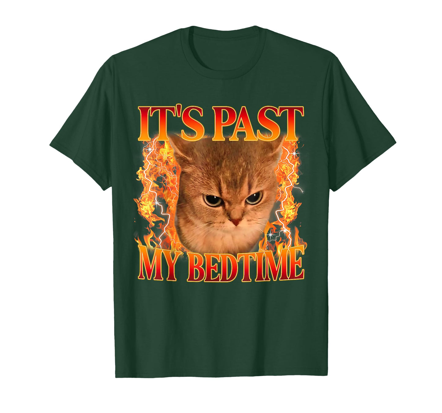 It's Past My Bedtime Funny Cat Meme Animals Humor Quote T-Shirt