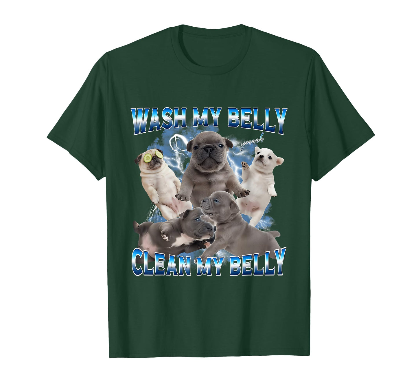 I'm Pibble Wash My Belly French Bulldog Brainrot Gen Z Meme T-Shirt