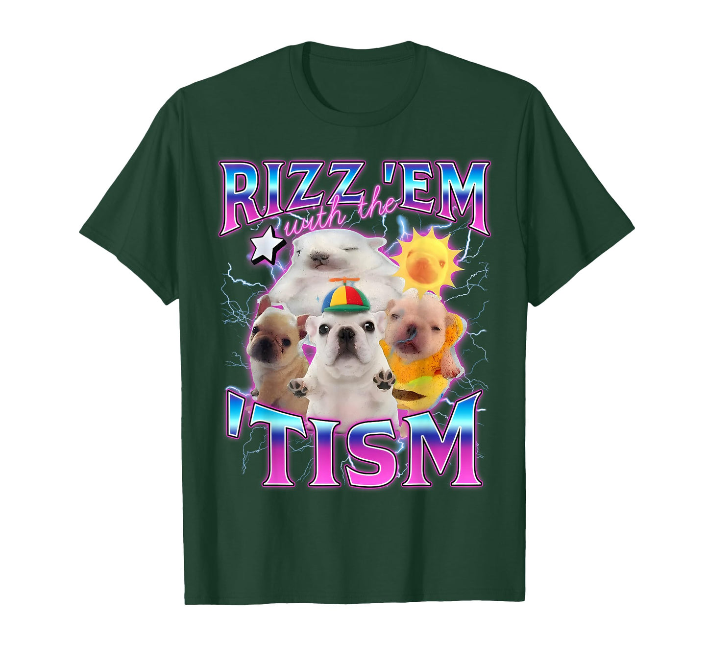 Autism Funny Rizz Em with The Tism Meme Austistic Pibble T-Shirt