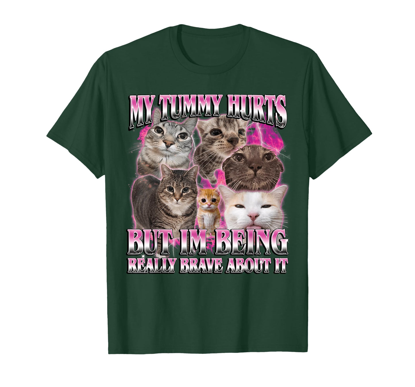 My Tummy Hurts Funny Brainrot Stupid Dank Cat Meme Graphic T-Shirt