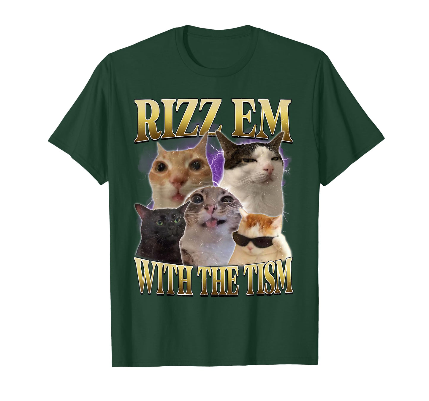 Rizz Em with The Tism Vintage Retro 90s Funny Cat Meme T-Shirt