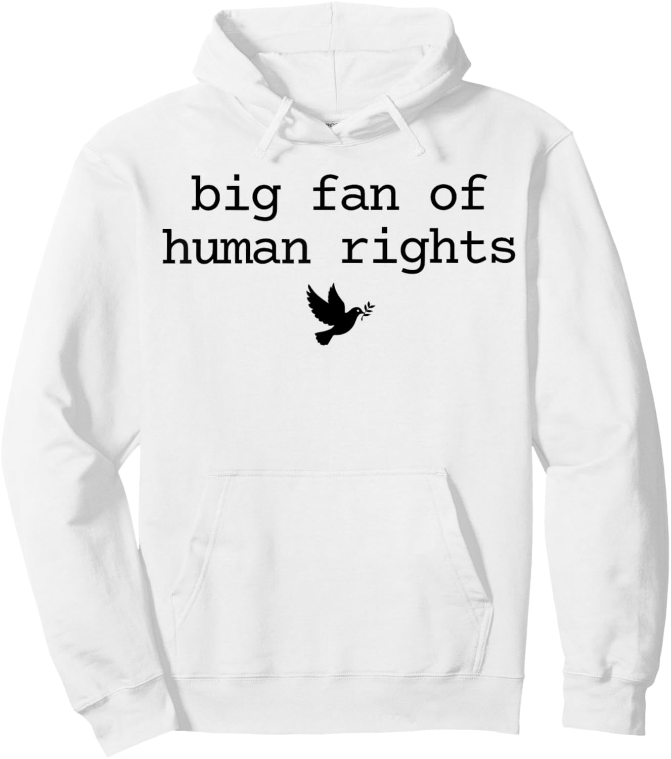 Big Fan of Human Rights Protest Retro Feminist Hoodie - Hoodie | White