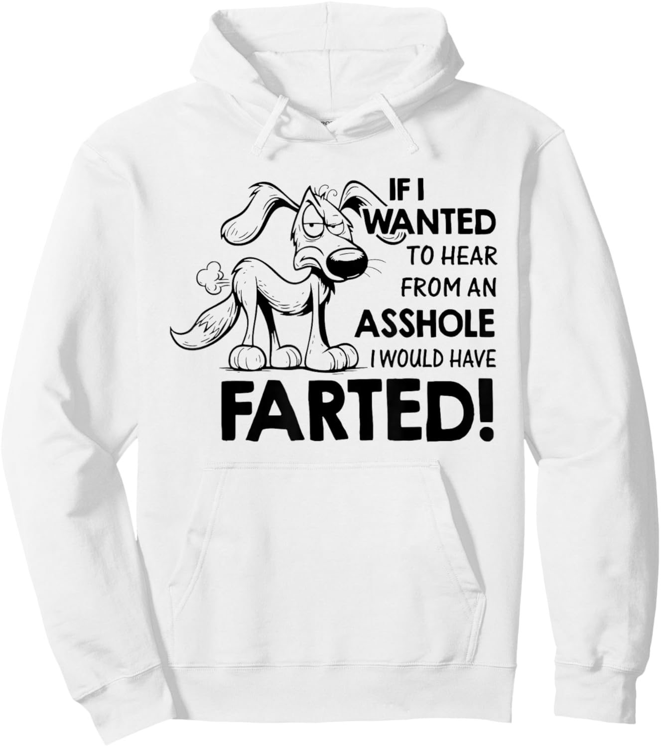 If I Wanted to Hear from an Asshole I Would Have Farted Hoodie - Hoodie | White