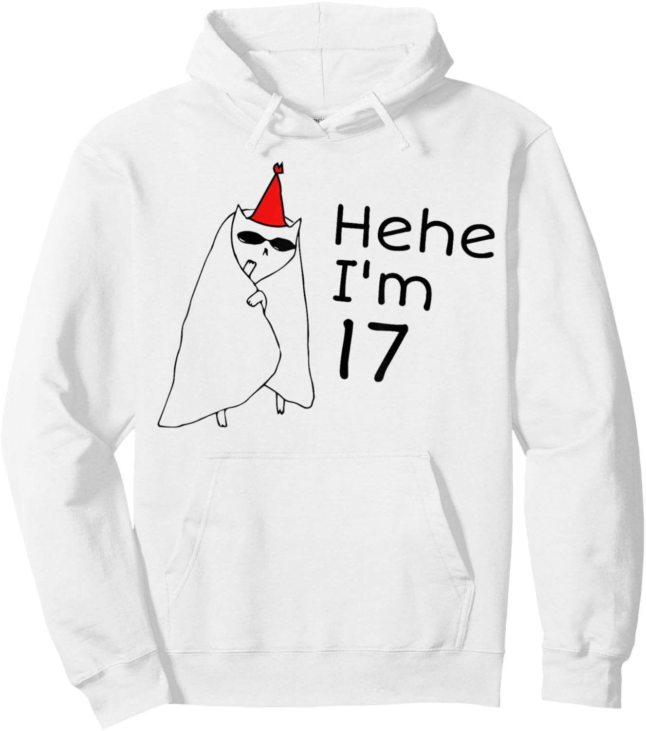 17th Birthday Party Funny 17 Years Old Birthday Teens Hoodie - Hoodie | White