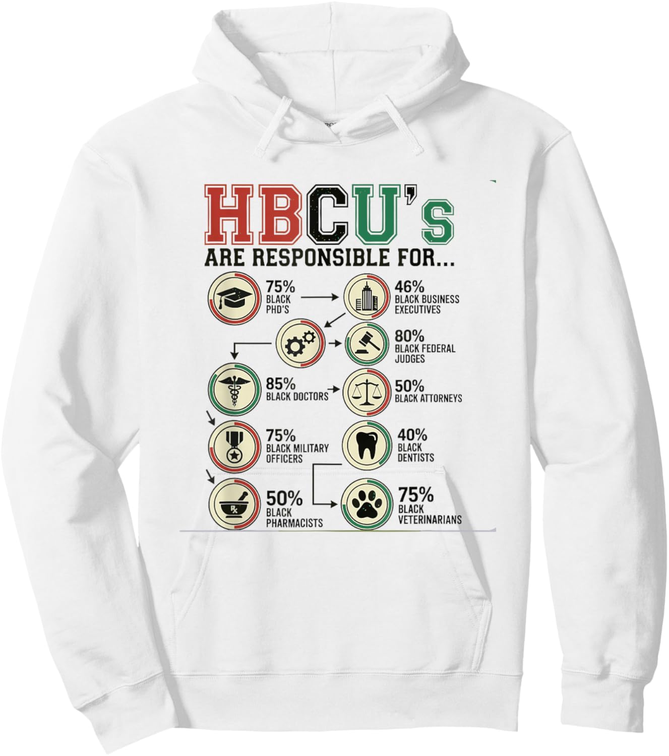 HBCU's Responsible for Black Excellence Alumni Students Hoodie - Hoodie | White