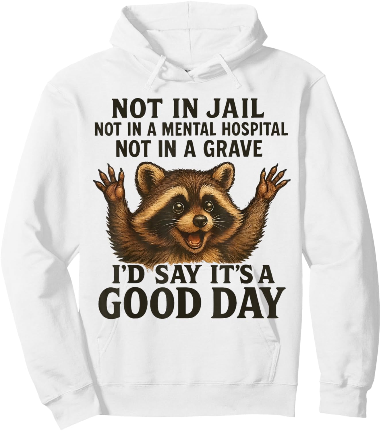 Raccoon Not in Jail Not in A Mental Hospital Funny Saying Hoodie - Hoodie | White