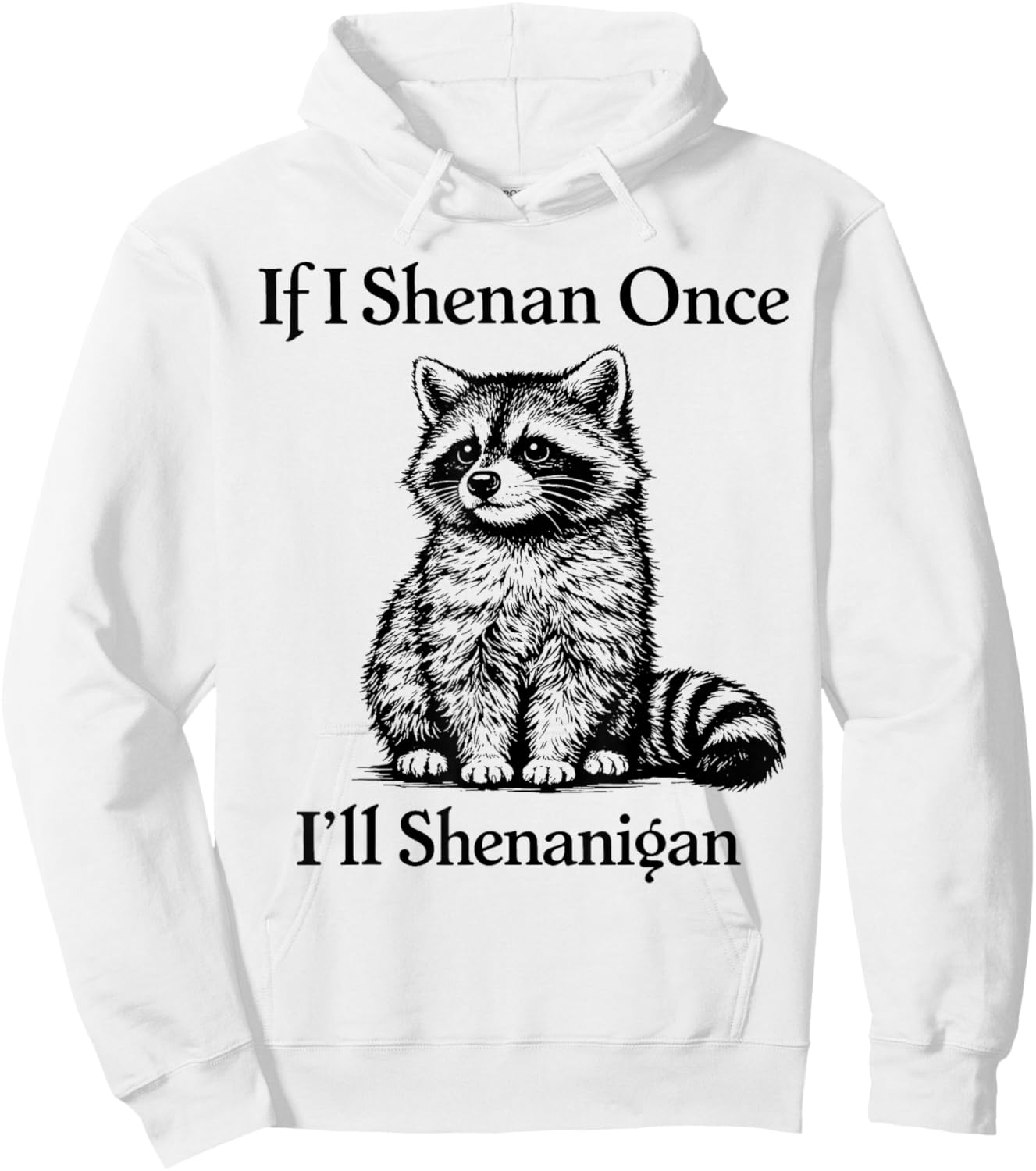 If I Shenan Once I'll Shenanigan Raccoon Hoodie - Hoodie | White