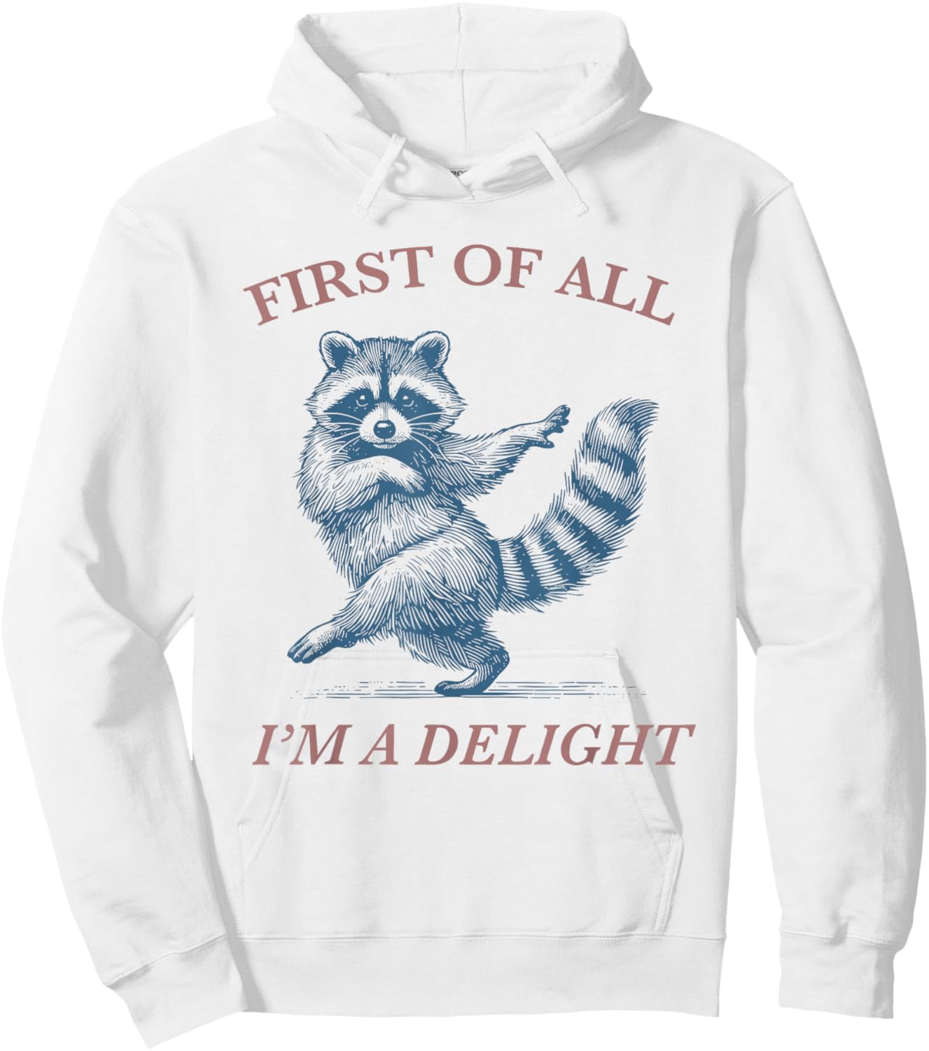 First of All I'm A Delight Funny Saying Sarcastic Raccoon Hoodie - Hoodie | White