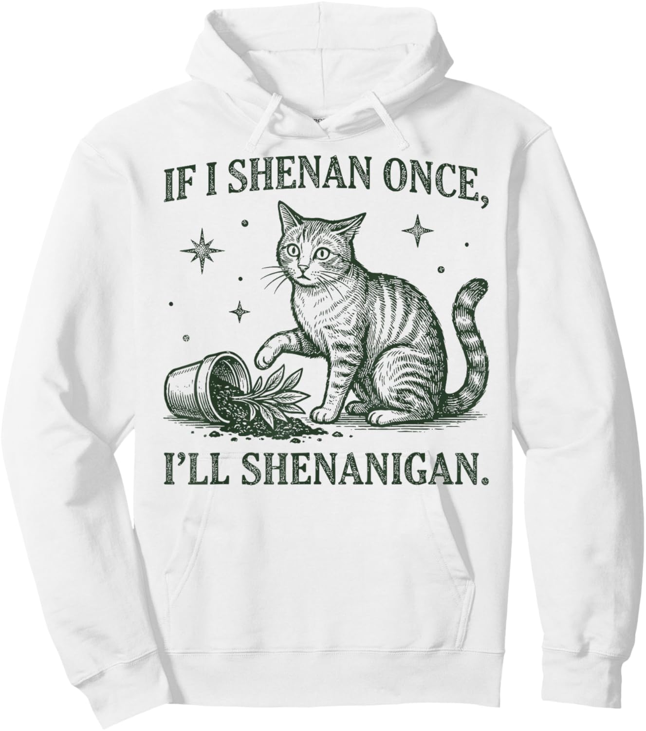 If I Shenan Once I'll Shenanigan Funny Cat Hoodie - Hoodie | White