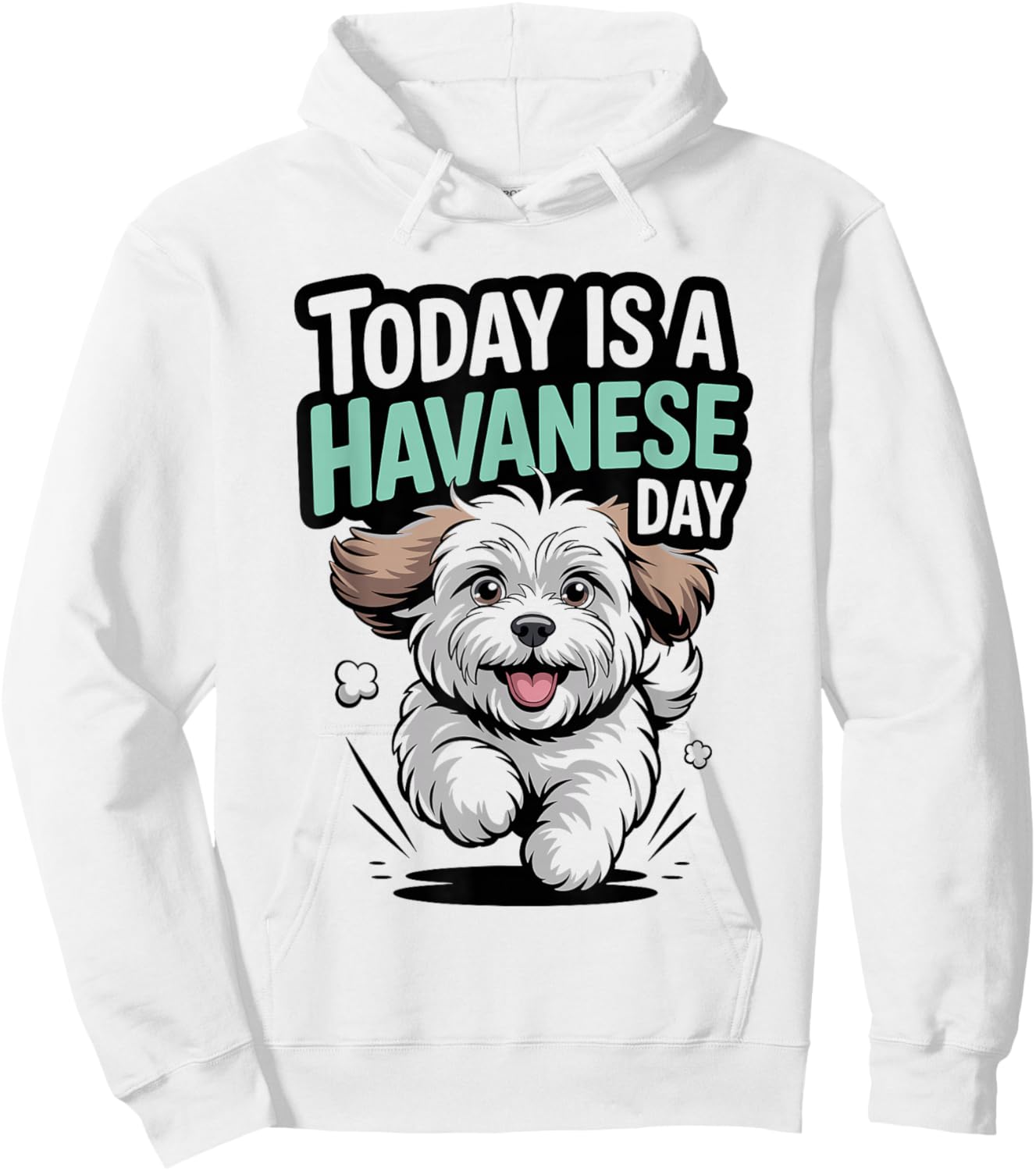 Today is A Havanese Day Cute Funny Pet Dog Breed Lover Style Hoodie - Hoodie | White