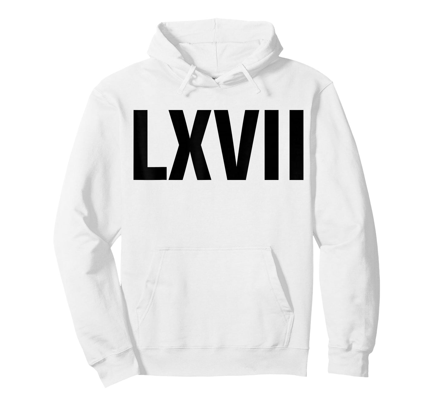 Roman 67 Year Old Funny Teacher 67th Birthday LXVII Meme 6 7 T-Shirt