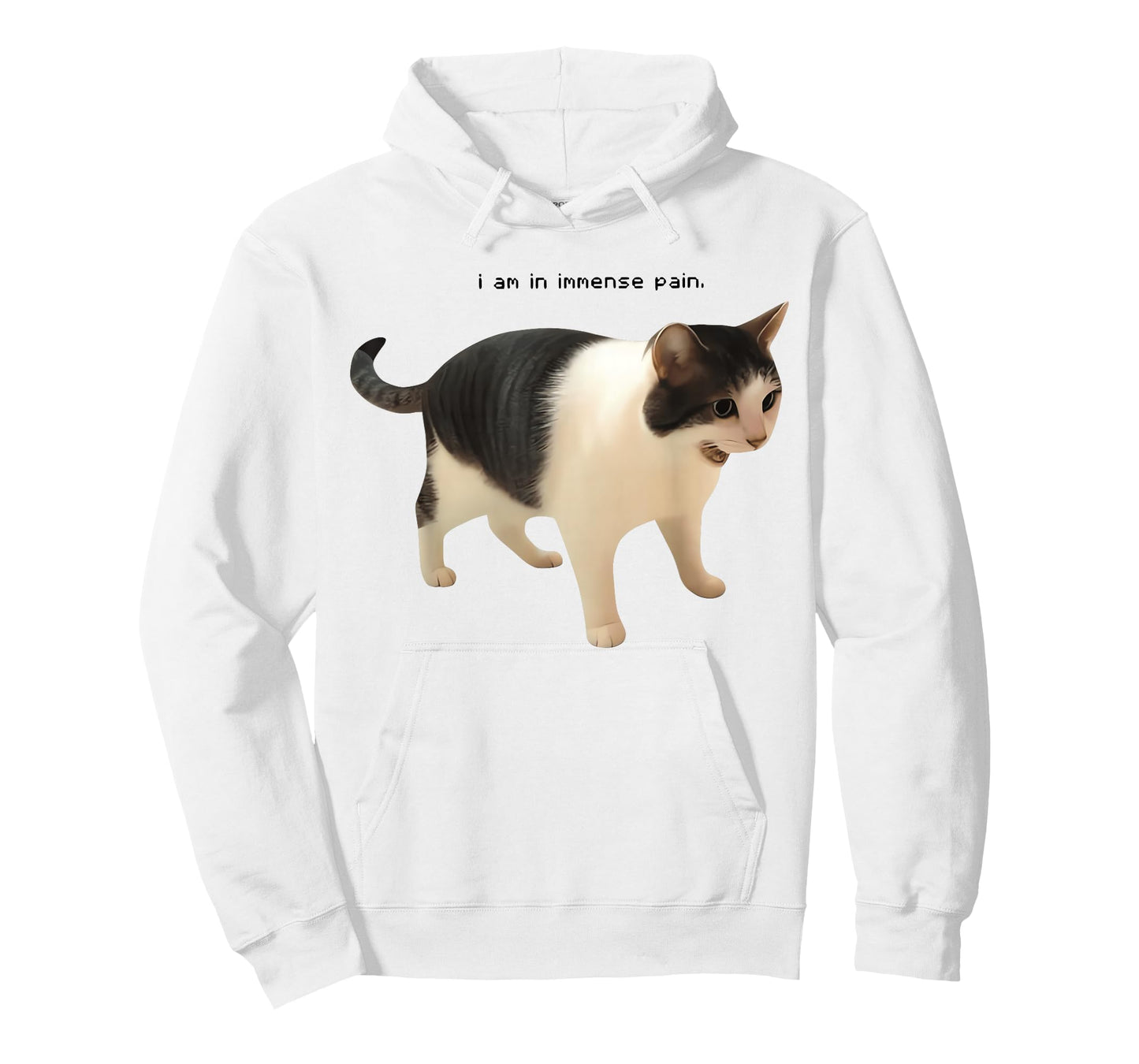 I Am in Immense Pain Funny Cat Meme Quote T-Shirt