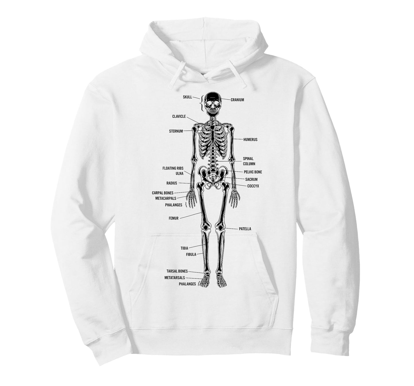 Skeleton Bones Anatomy Detailed Study Illustration T-Shirt