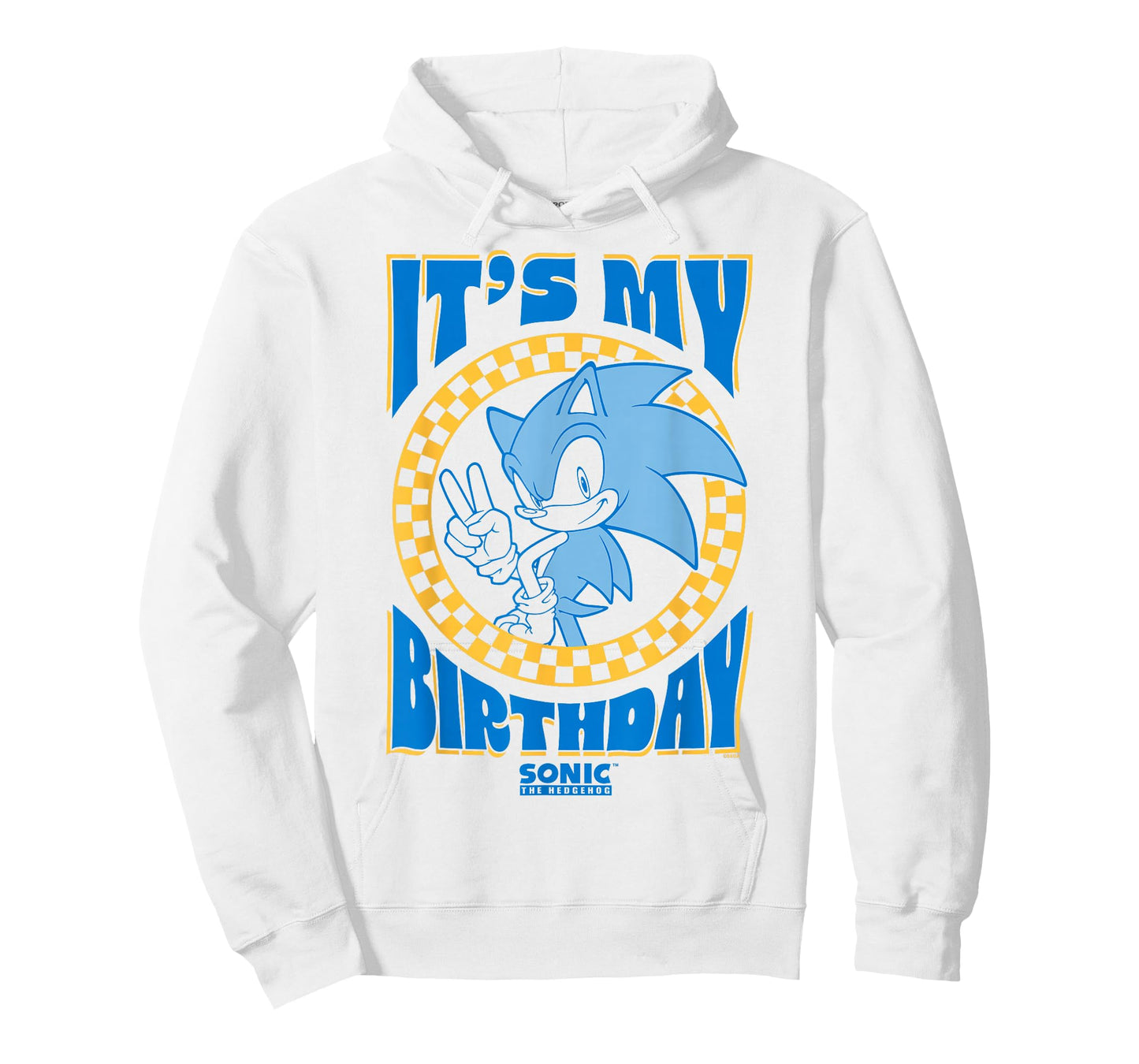 Sonic The Hedgehog It's My Birthday Cool Sonic Pose Poster T-Shirt