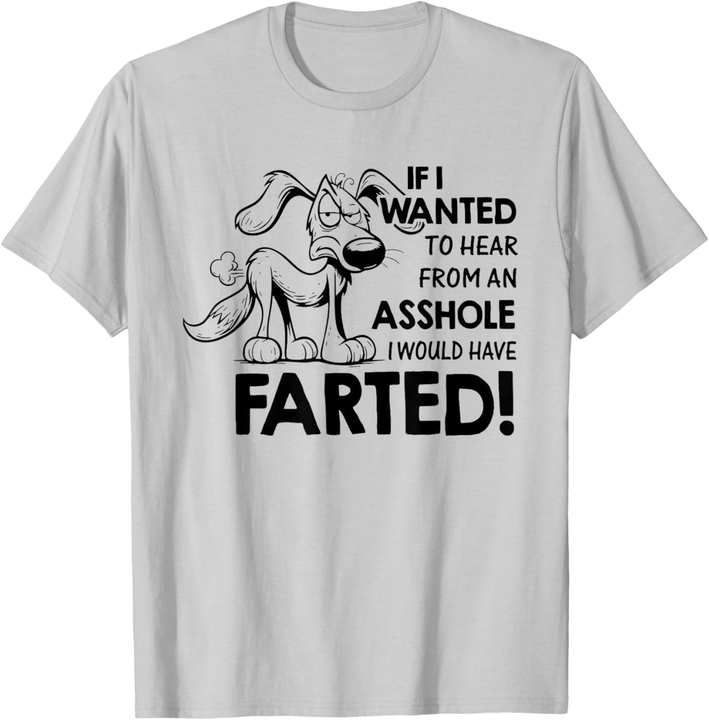 If I Wanted to Hear from an Asshole I Would Have Farted T-Shirt - T-Shirt | Ash